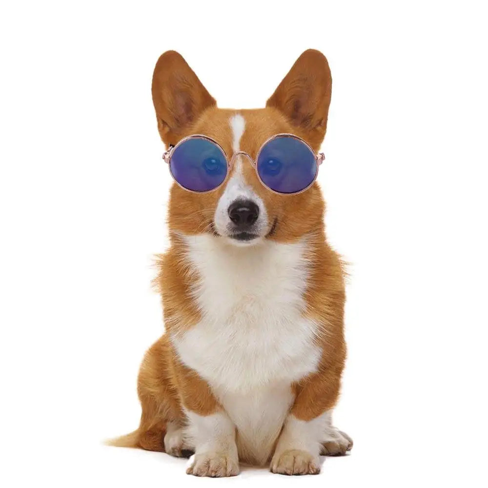Round Funny Cat Accessories Decoration Reflection Lovely Eye Wear Sunglasses Pet Glasses Photos Props