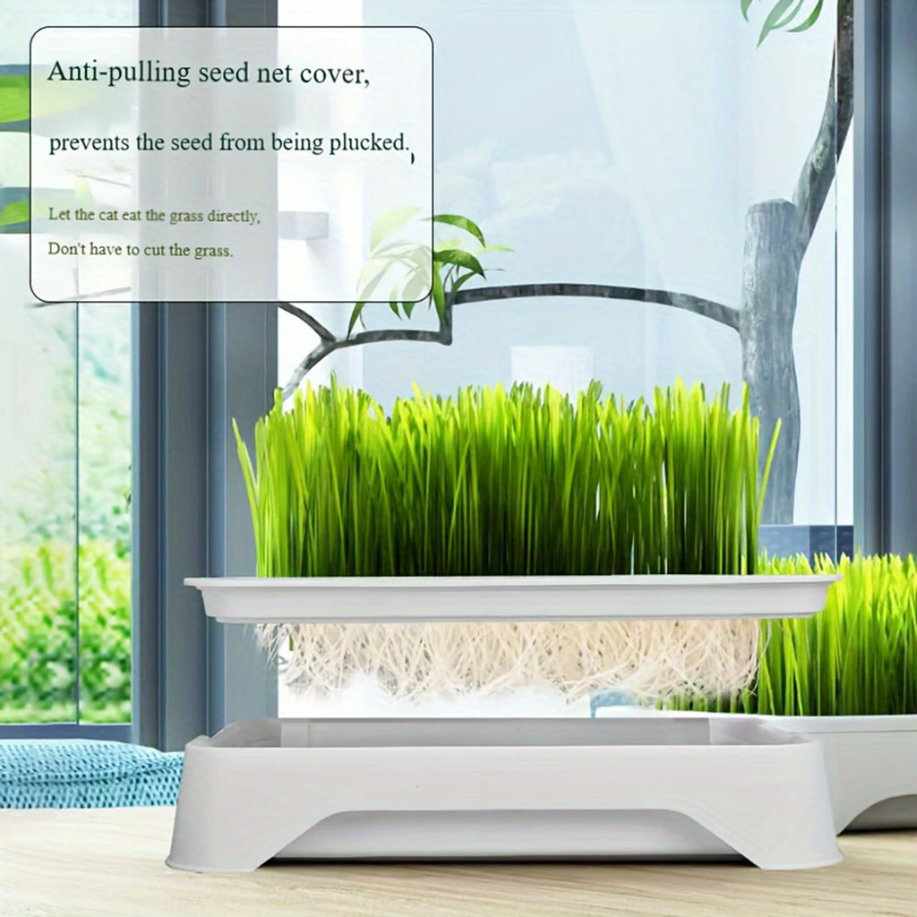 Soilless Hydroponic Cat Grass Planter