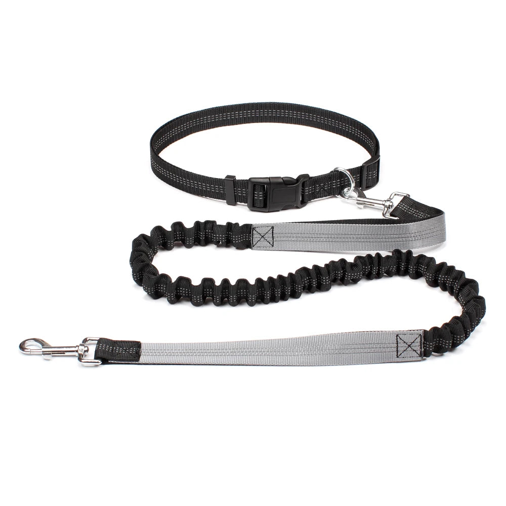 Hands-Free Reflective Dog Running Leash