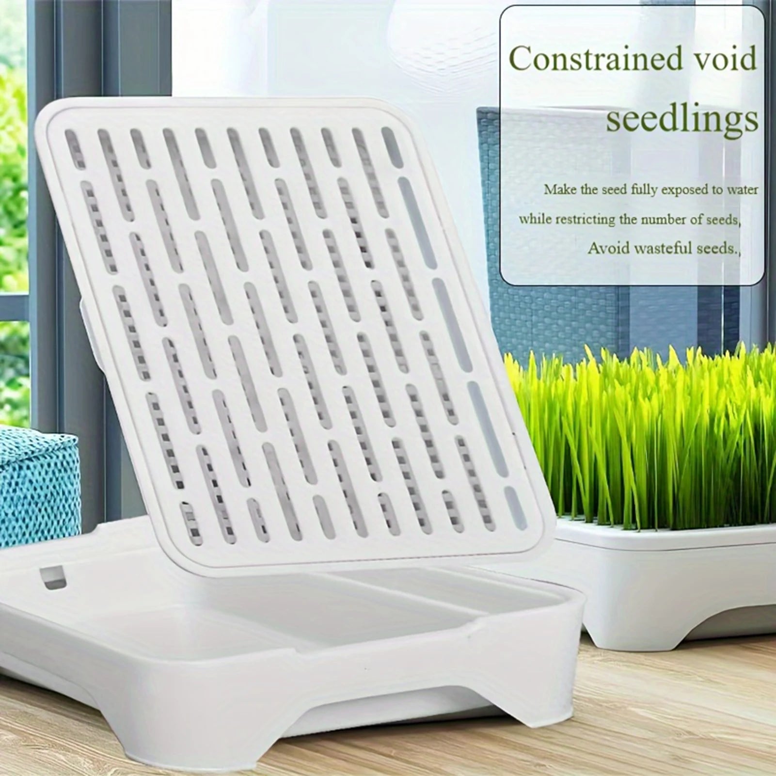 Soilless Hydroponic Cat Grass Planter