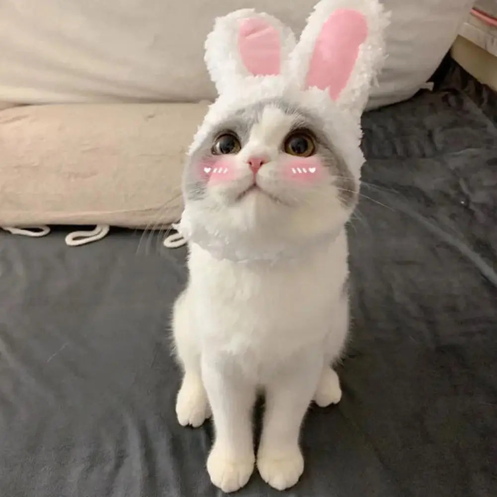 Cat Decorative Pet Products New Warm Cat Head Cover Rabbit Ear Plush Hat Lamb Accessories Pet Hat Cat Clothes  S9M7