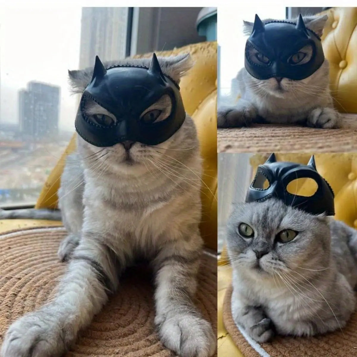 Cat Bat Mask Feline Role-play Headpiece Form-fitting Pet Costume Accessory Whimsical and Adorable Cat