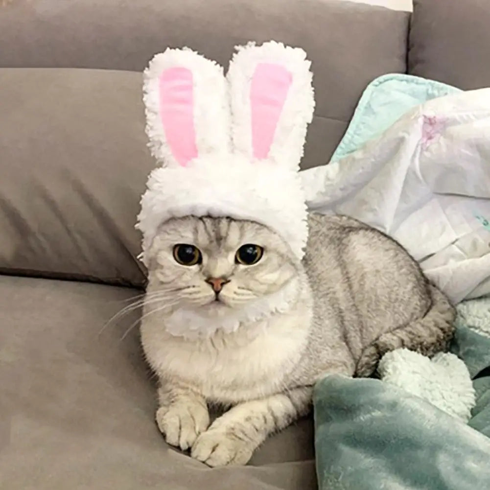 Cat Decorative Pet Products New Warm Cat Head Cover Rabbit Ear Plush Hat Lamb Accessories Pet Hat Cat Clothes  S9M7
