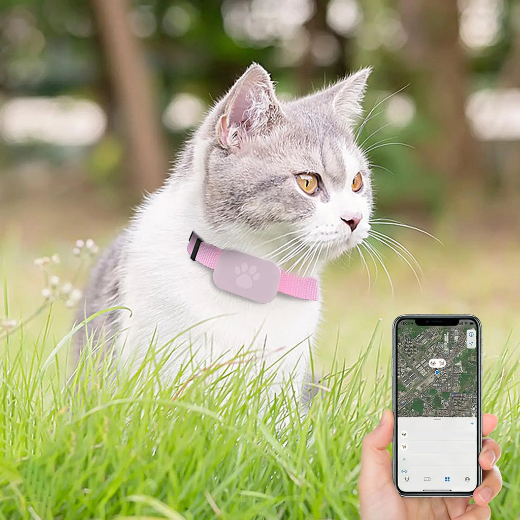 Cat Trackers Cat Tracker Collar Pet Kitten Collar Multifunctional Pet Smart Trackers Pets Accessories IOS Compatible