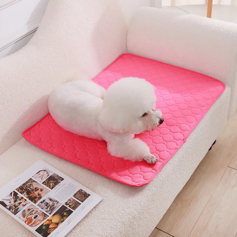 Reusable Washable Absorbent Pet Pee Pad
