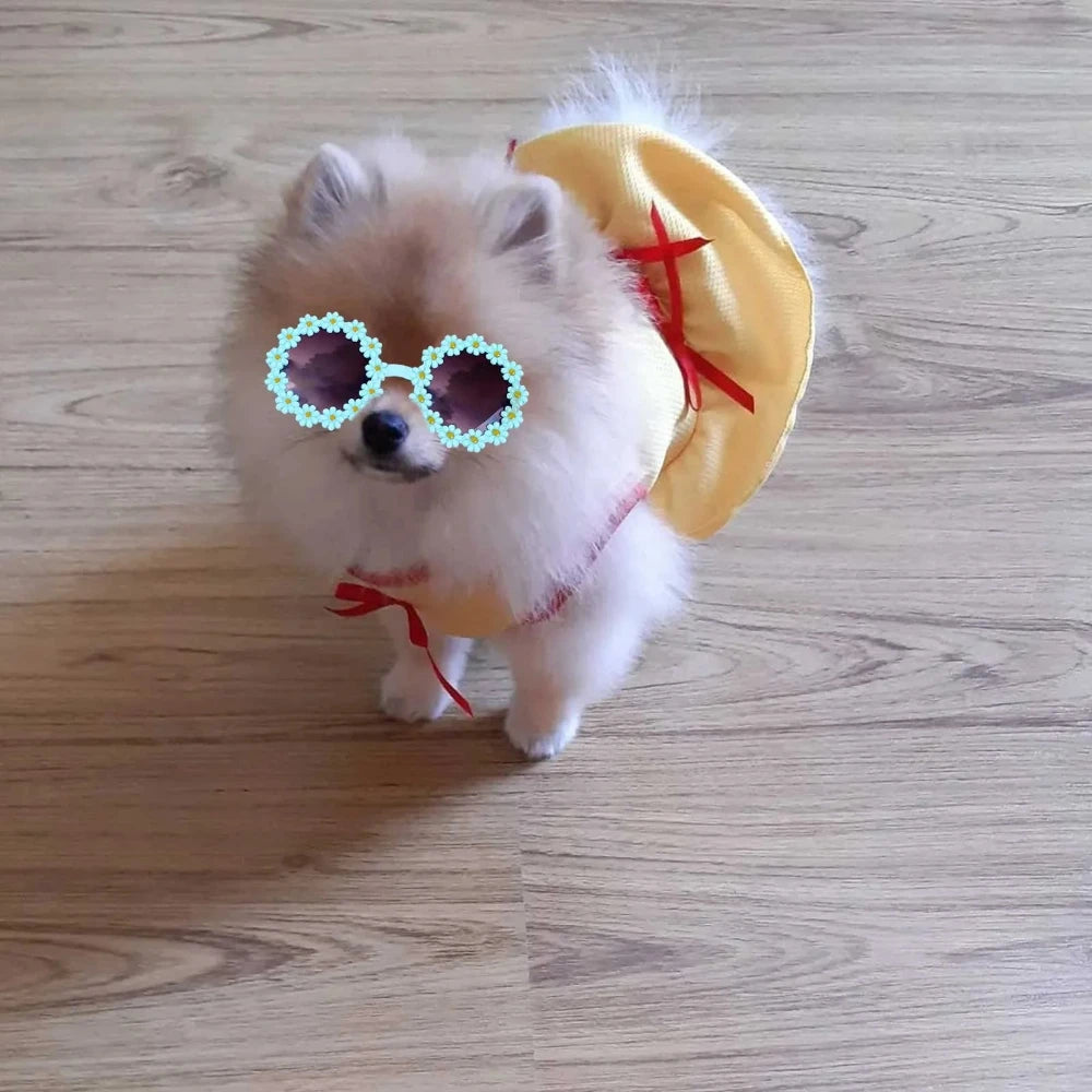 Pet Accessories Flower Sunglasses Circular Role Playing Glasses Photo Props Glasses For Cats And Small And Paracord Dog Leash