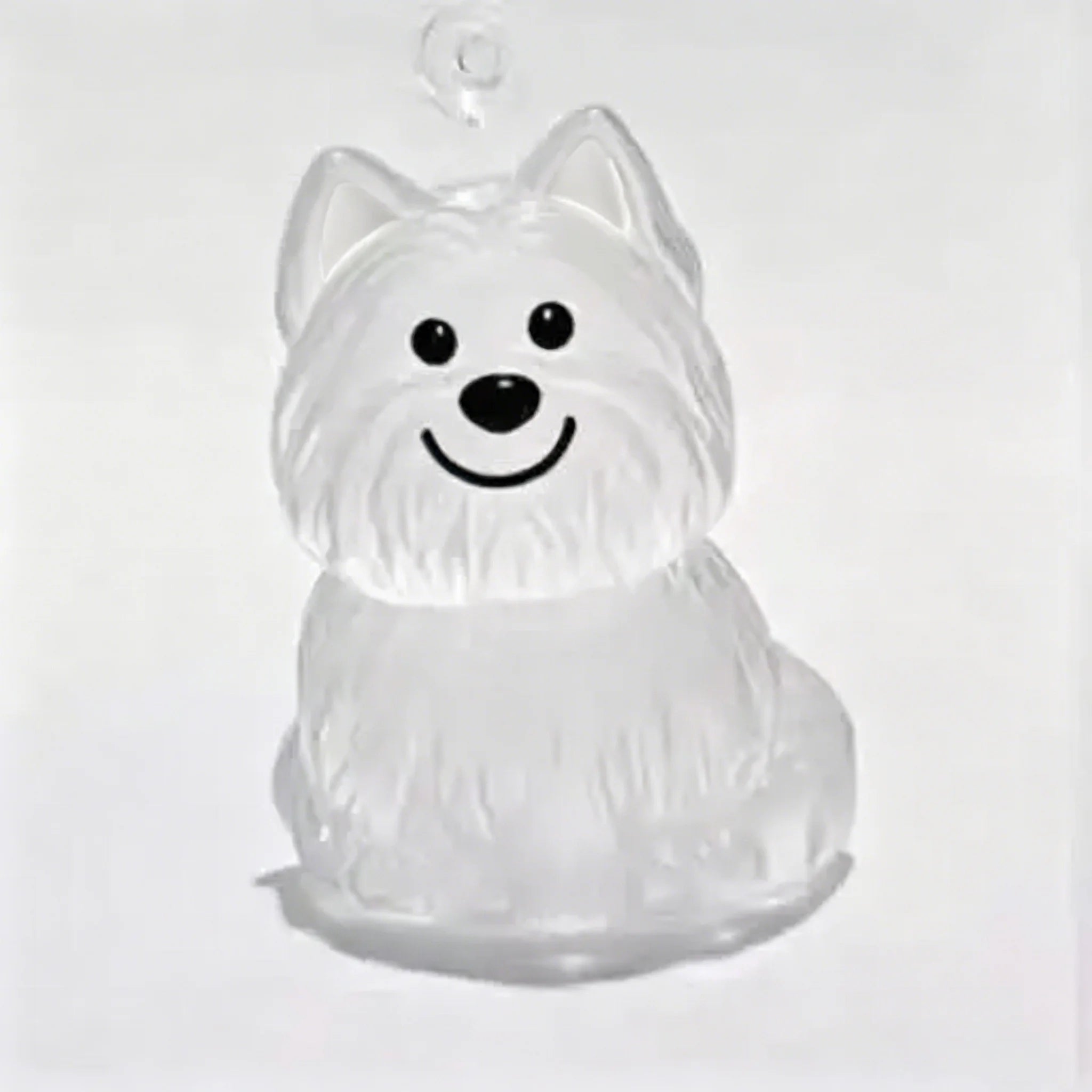 Pet Hair Memorial Resin Keychain Pendant