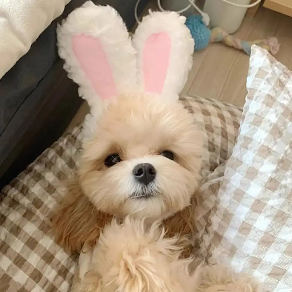 Cat Decorative Pet Products New Warm Cat Head Cover Rabbit Ear Plush Hat Lamb Accessories Pet Hat Cat Clothes  S9M7