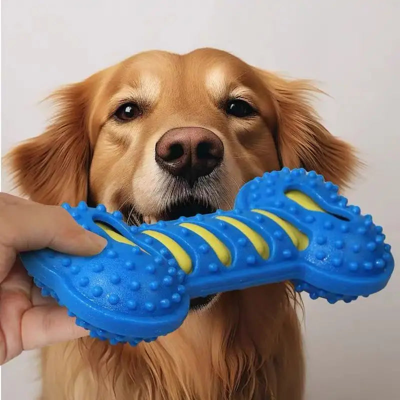 Durable Squeaky Rubber Bone Toy