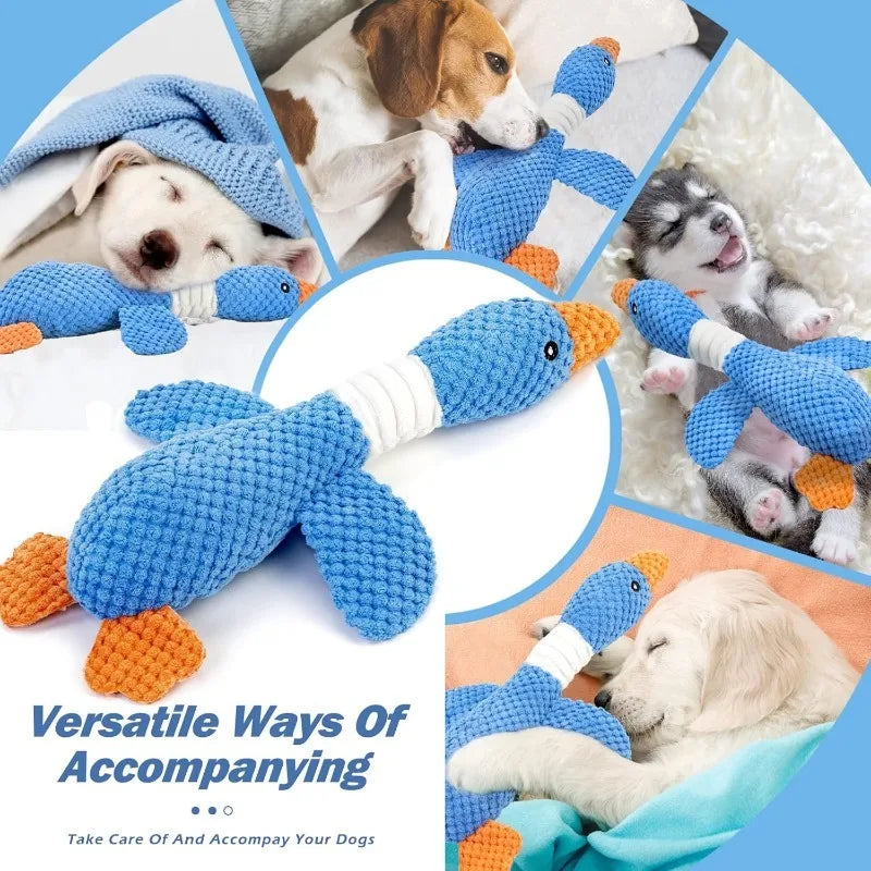 Squeaky Plush Interactive Chew Toy