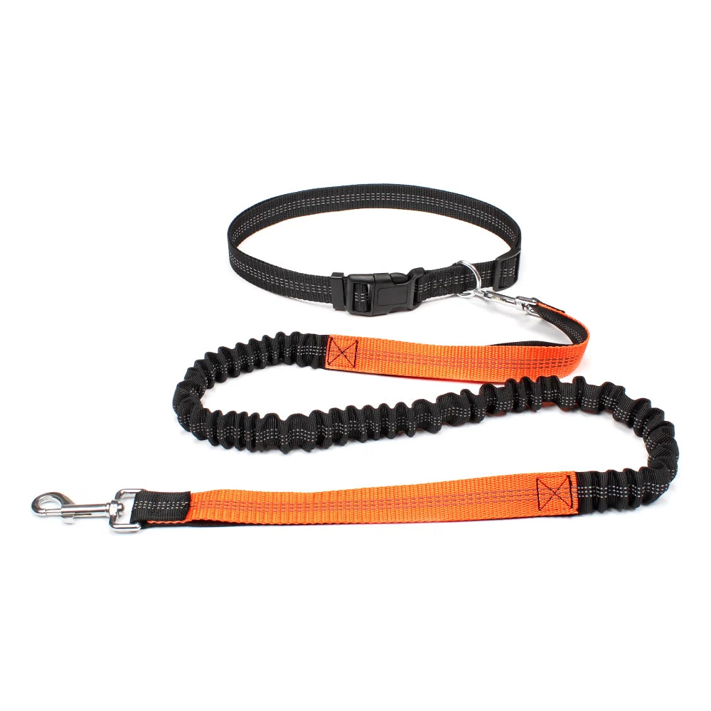 Hands-Free Reflective Dog Running Leash