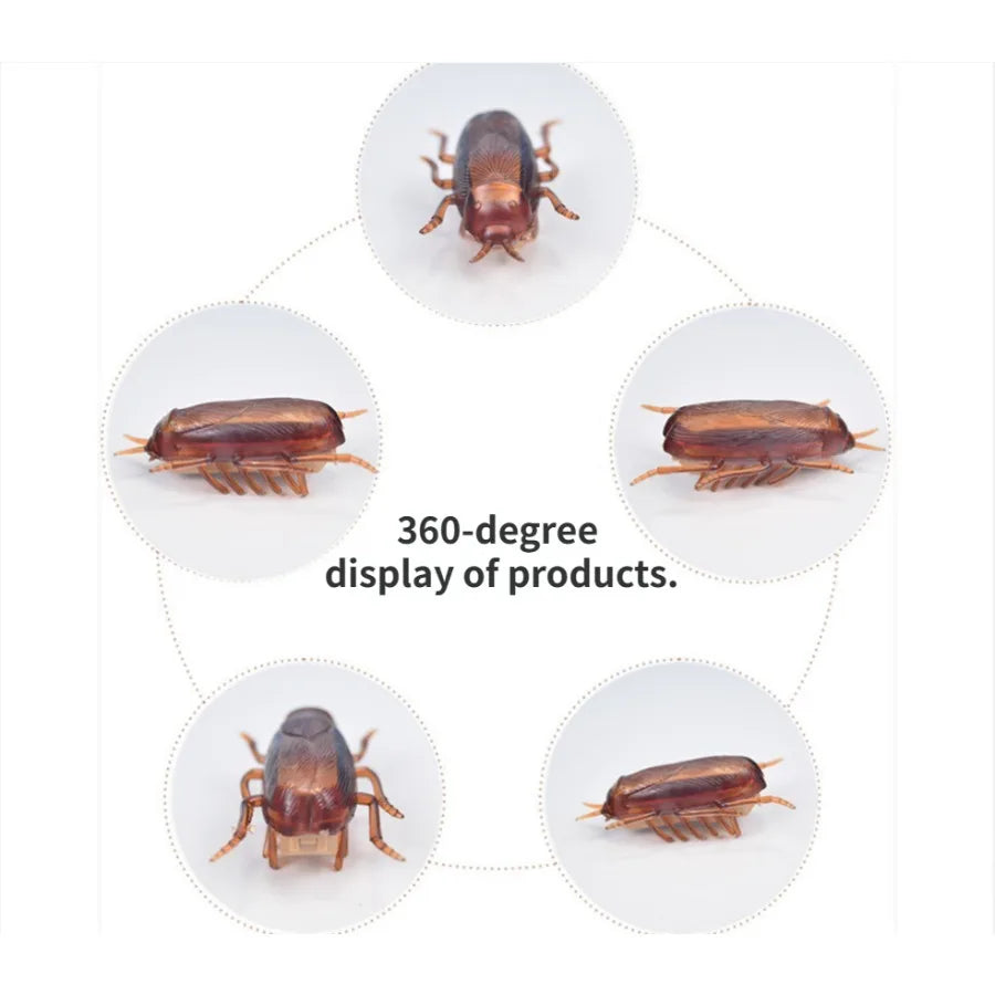 Funny Simulation Cockroach Interactive Pet Toy