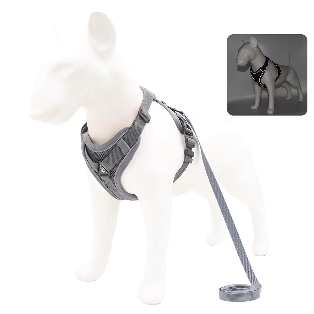 No-Pull Breathable Dog Harness & Leash Set
