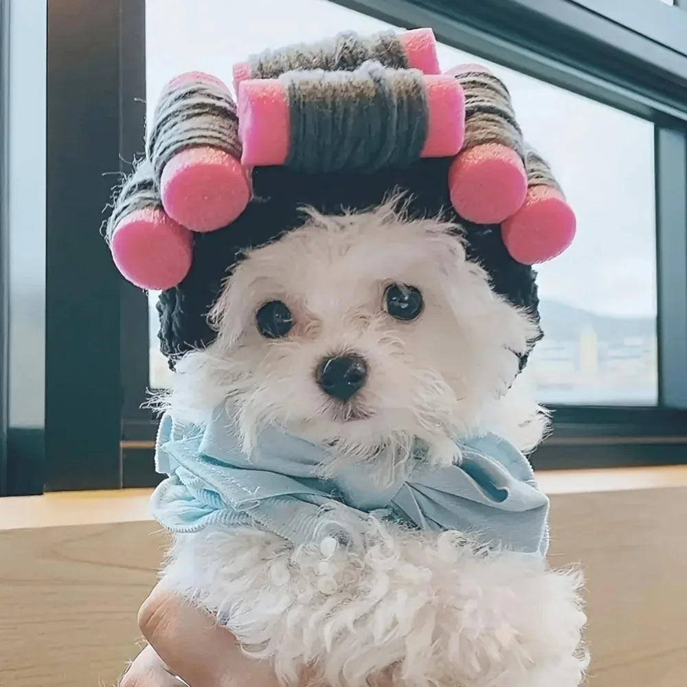 Interesting Curly PetS Hat Suitable for Cats and Dogs Adjustable for Halloween and Christmas Cat Accessories Pet Hats for Cats