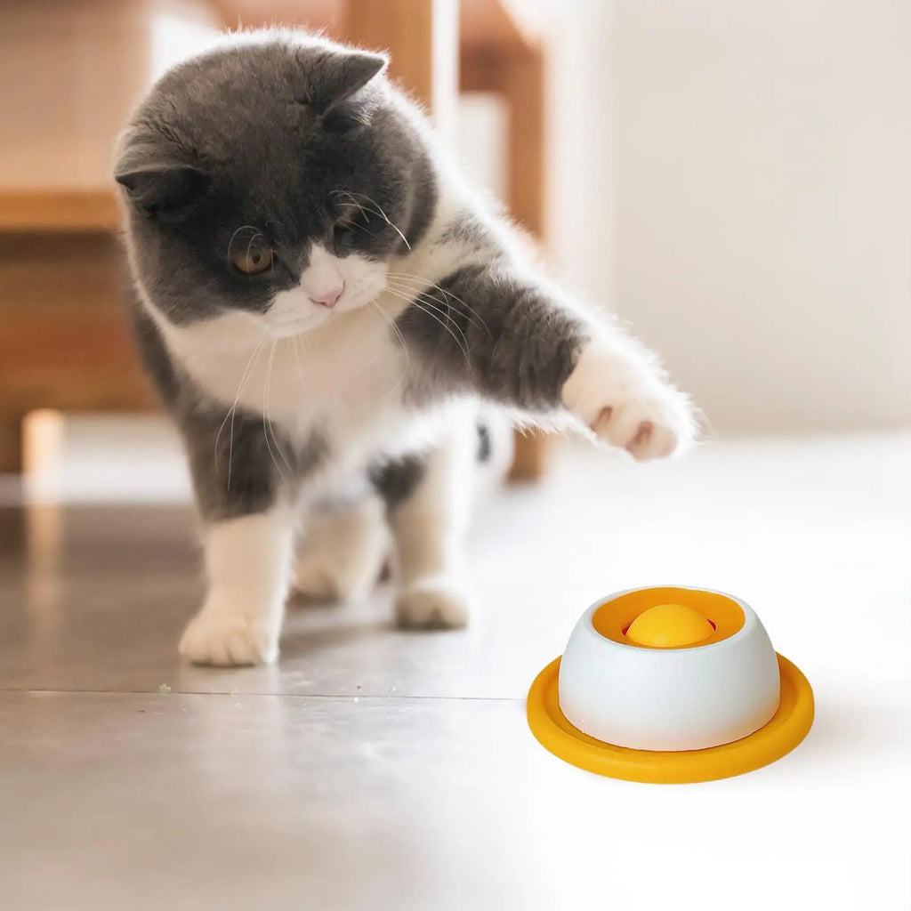 Interactive Slow Feeder Puzzle Toy