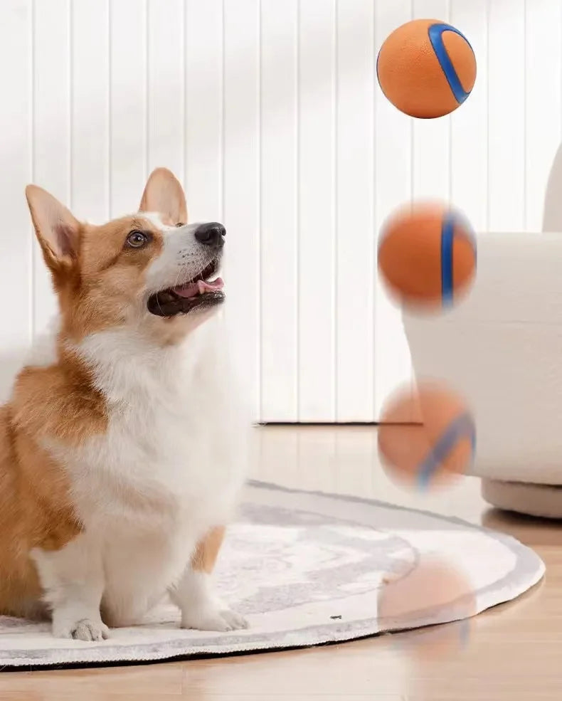 Durable Solid Elastic Fetch Dog Ball