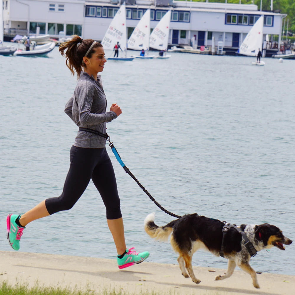 Hands-Free Reflective Dog Running Leash
