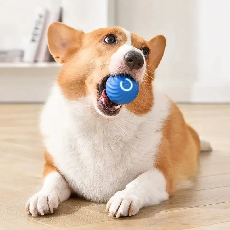 Pelota interactiva electrónica inteligente para perros que rebota