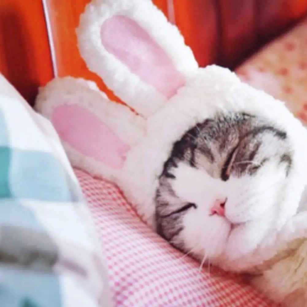 Cat Decorative Pet Products New Warm Cat Head Cover Rabbit Ear Plush Hat Lamb Accessories Pet Hat Cat Clothes  S9M7