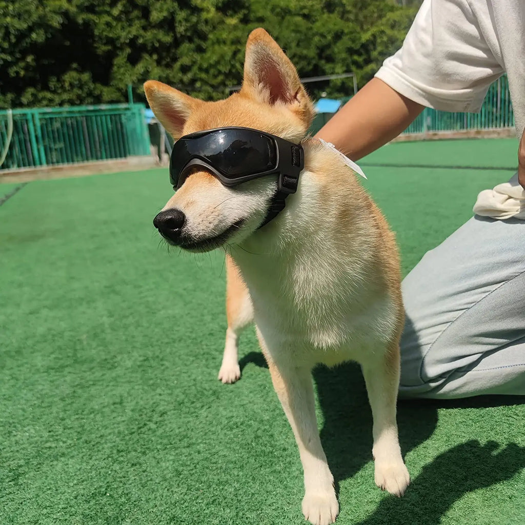 UV Protection Pet Goggles & Sunglasses
