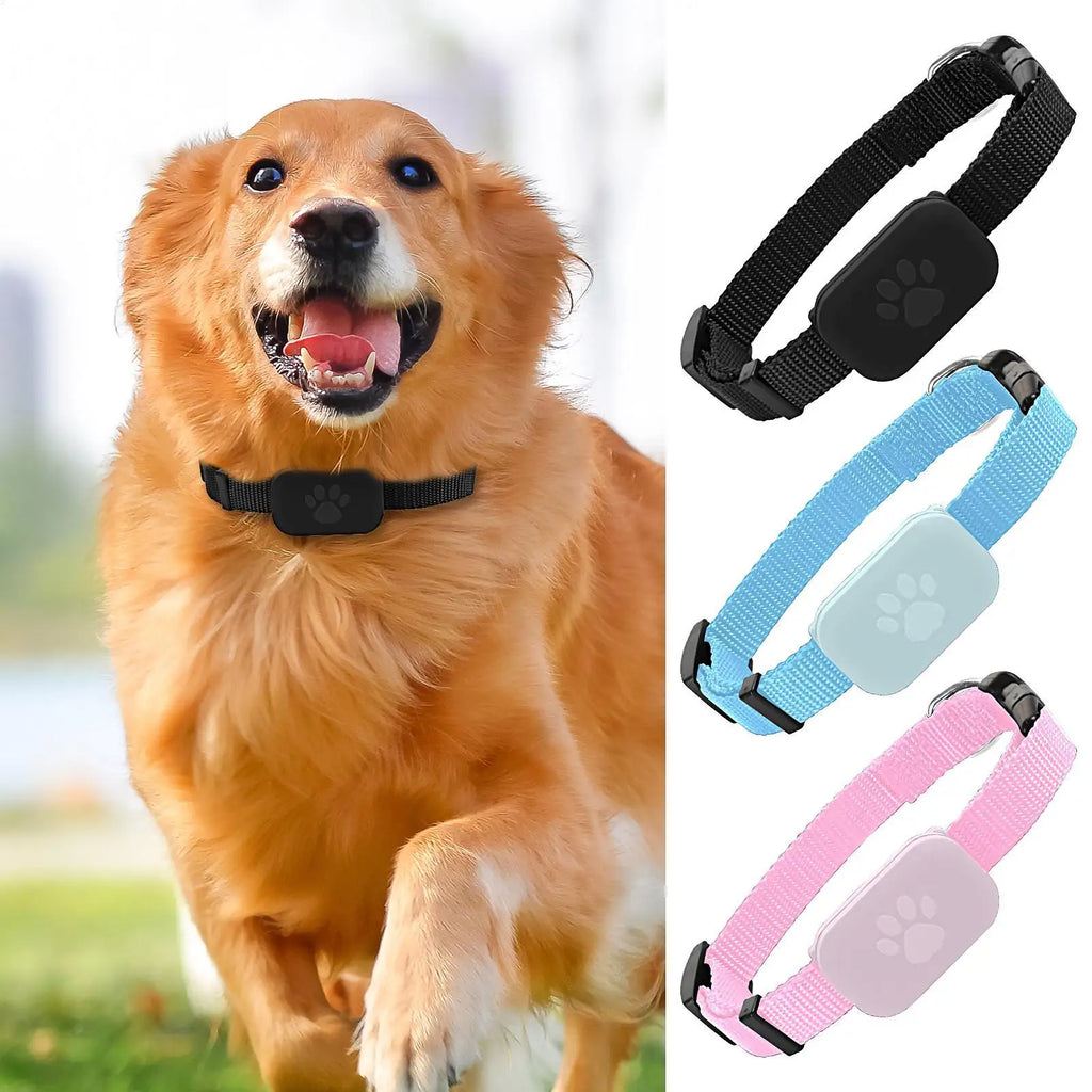 Cat Trackers Cat Tracker Collar Pet Kitten Collar Multifunctional Pet Smart Trackers Pets Accessories IOS Compatible