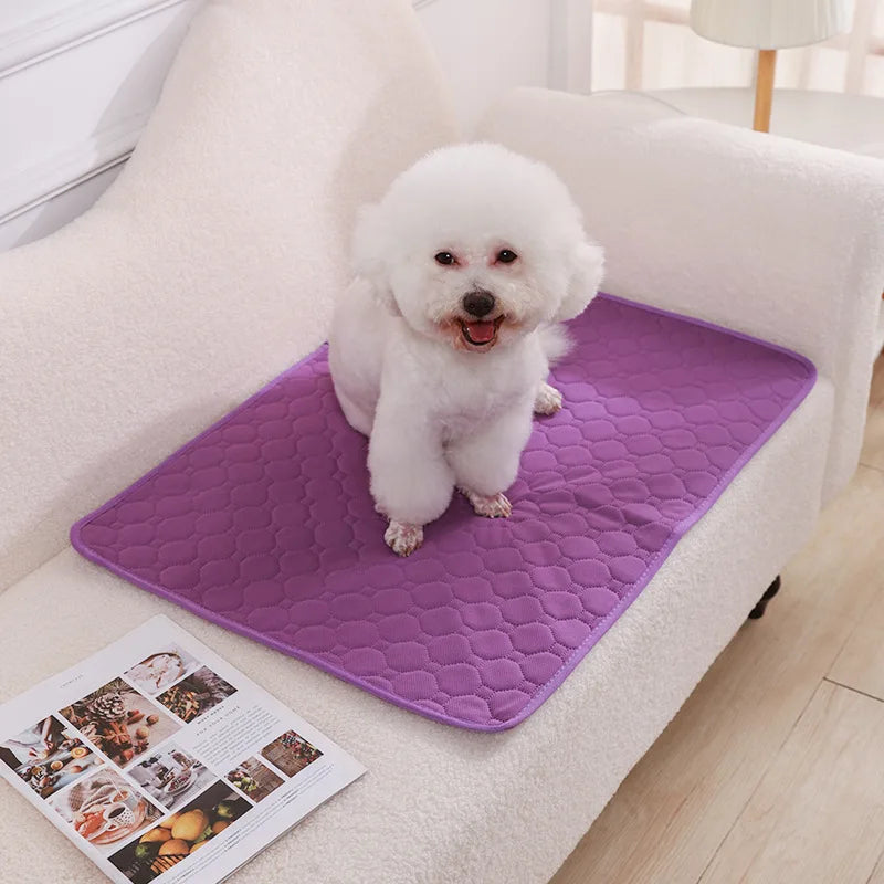 Reusable Washable Absorbent Pet Pee Pad