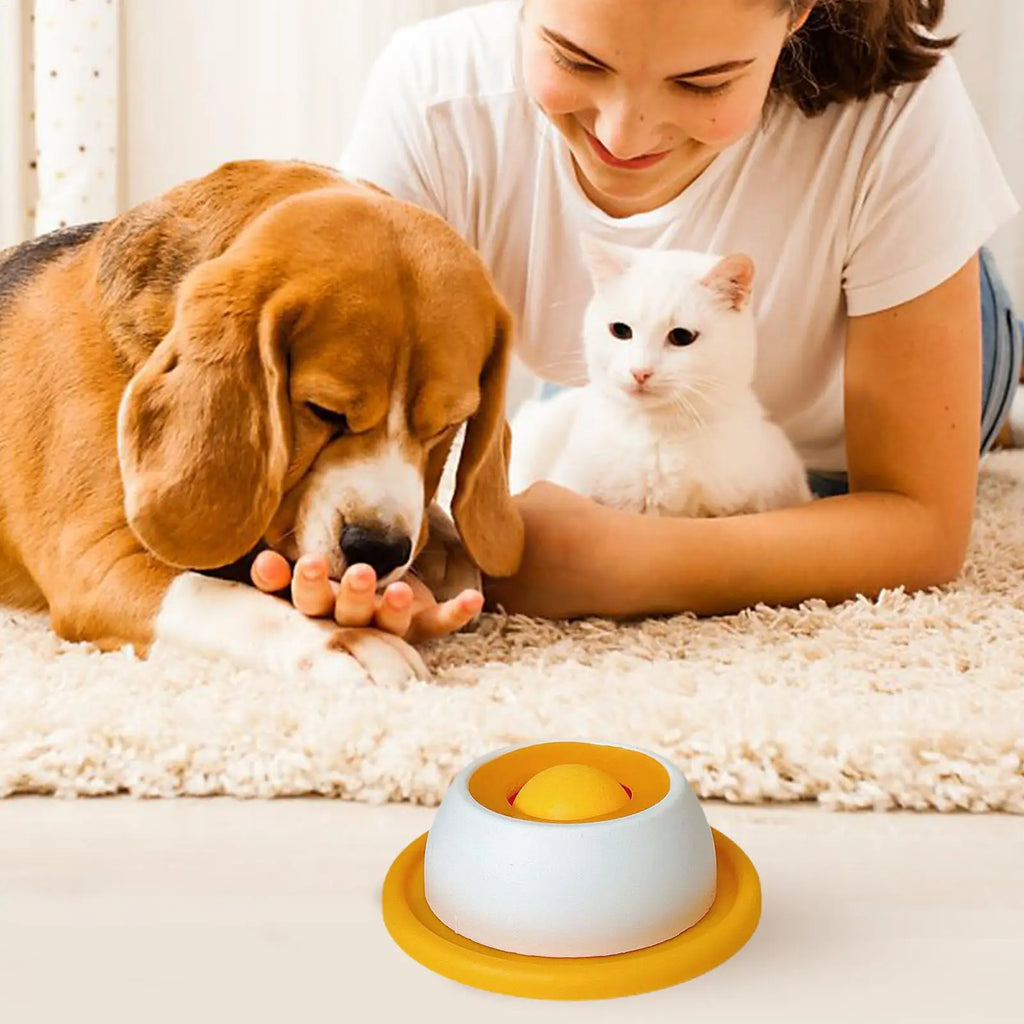 Interactive Slow Feeder Puzzle Toy