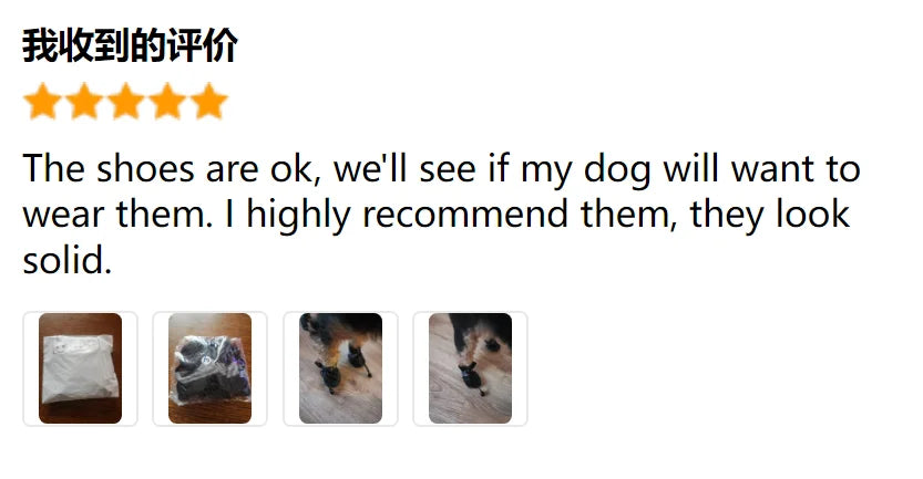 Waterproof Non-Slip Pet Rain Boots