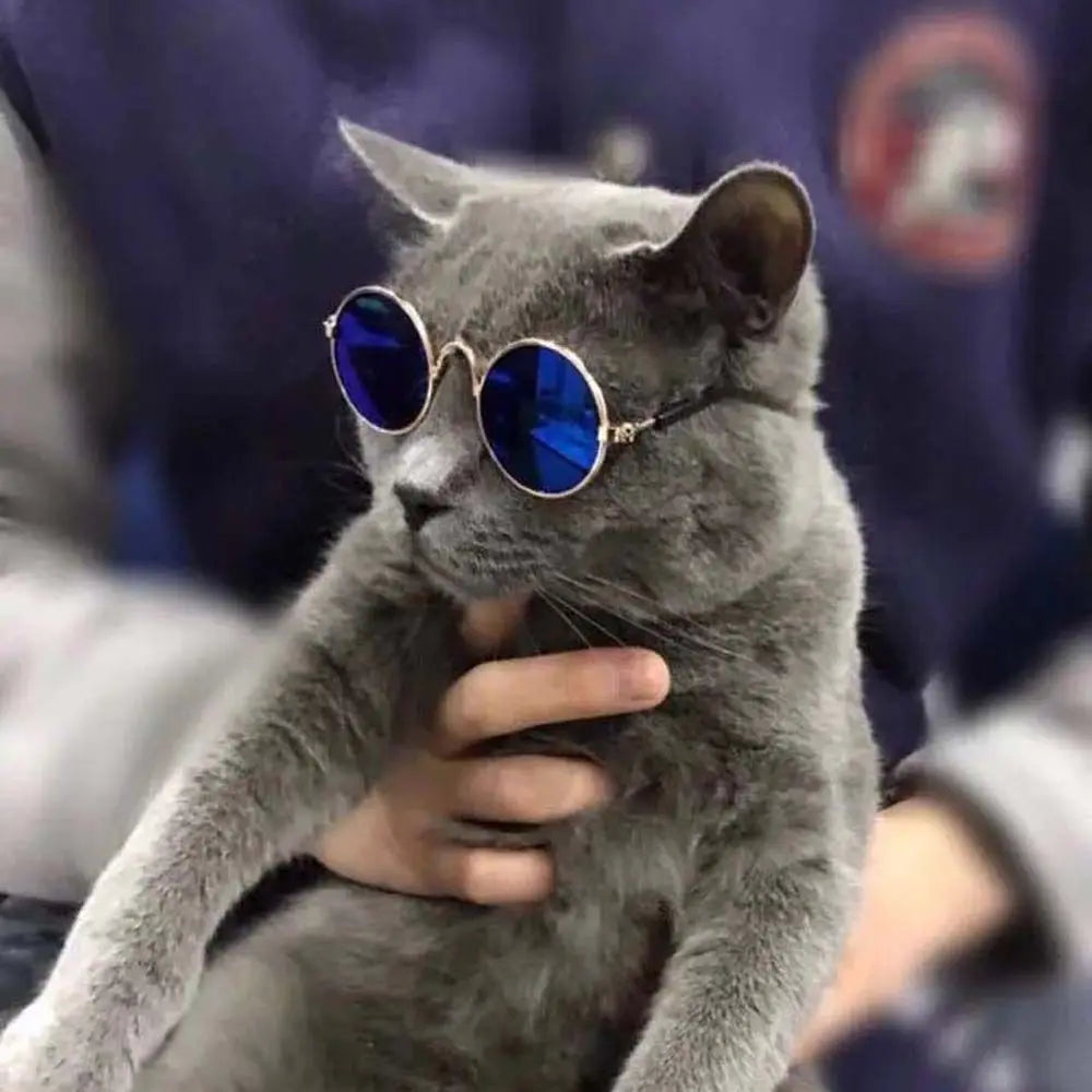 Round Funny Cat Accessories Decoration Reflection Lovely Eye Wear Sunglasses Pet Glasses Photos Props