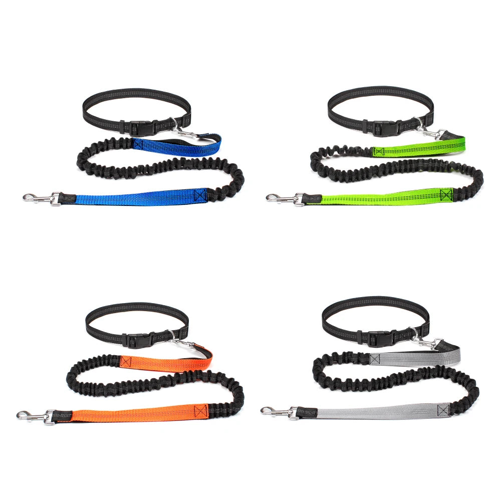 Hands-Free Reflective Dog Running Leash
