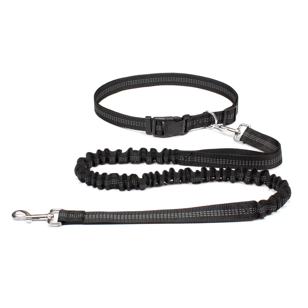 Hands-Free Reflective Dog Running Leash