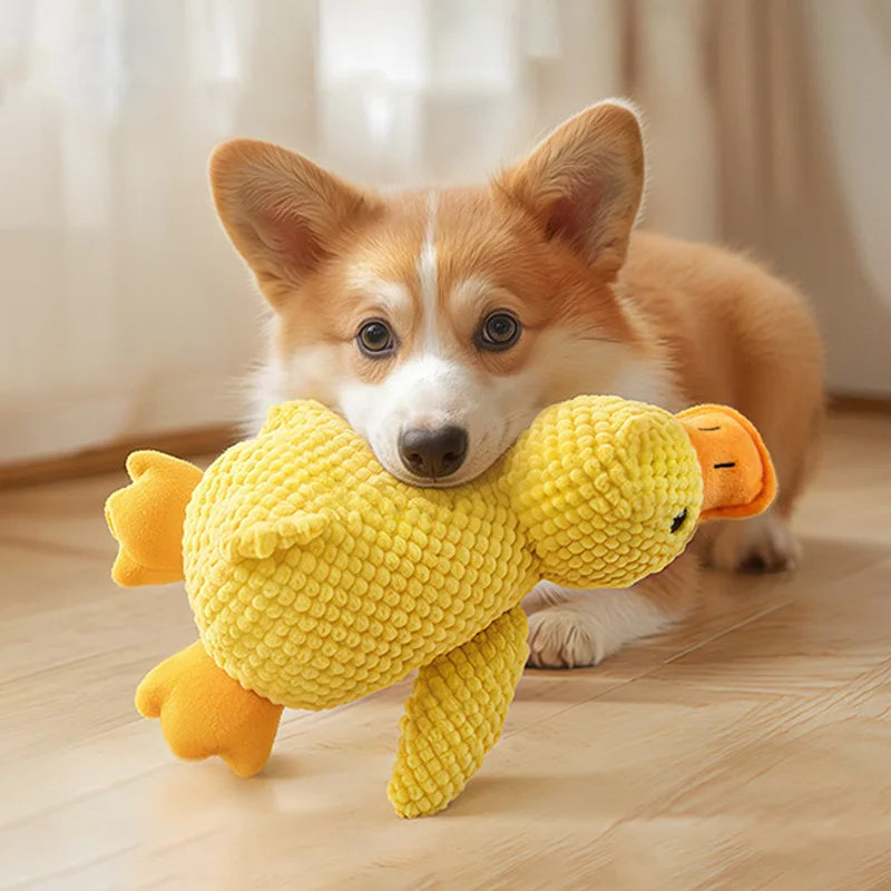 Squeaky Plush Interactive Chew Toy