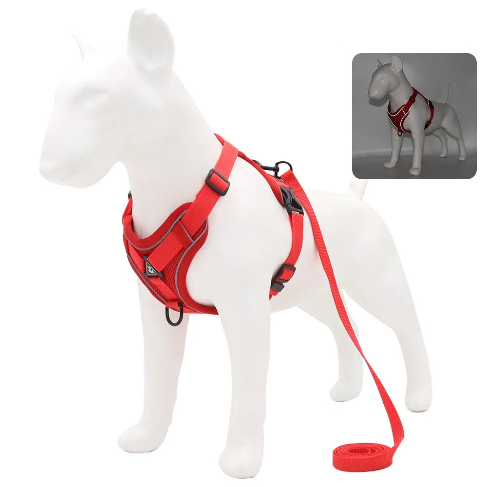 No-Pull Breathable Dog Harness & Leash Set