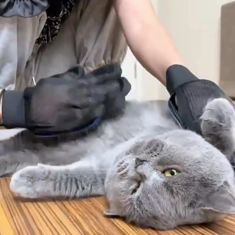 Silicone Bath & Grooming Pet Gloves