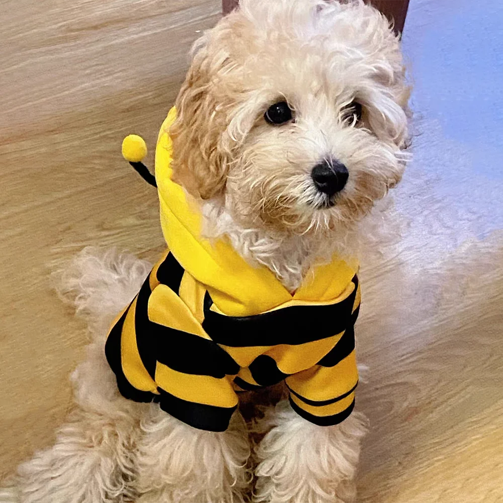 Cute Bee Costume Pet Hoodie
