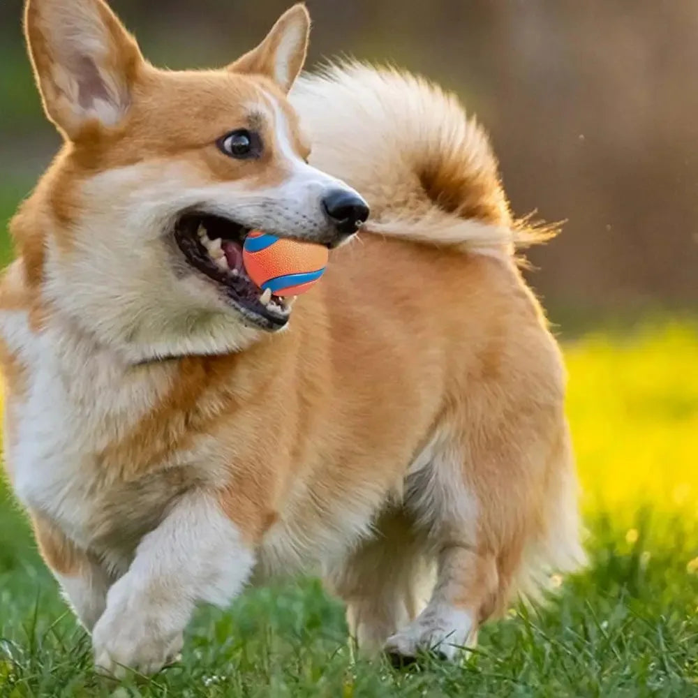 Durable Solid Elastic Fetch Dog Ball