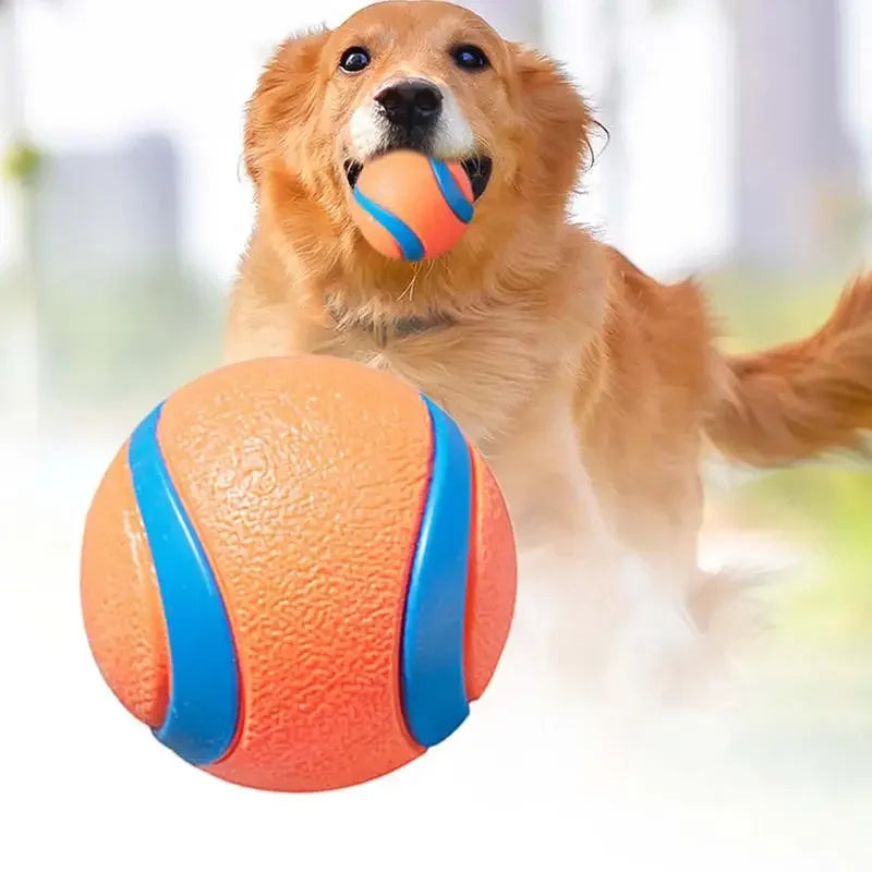 Durable Solid Elastic Fetch Dog Ball
