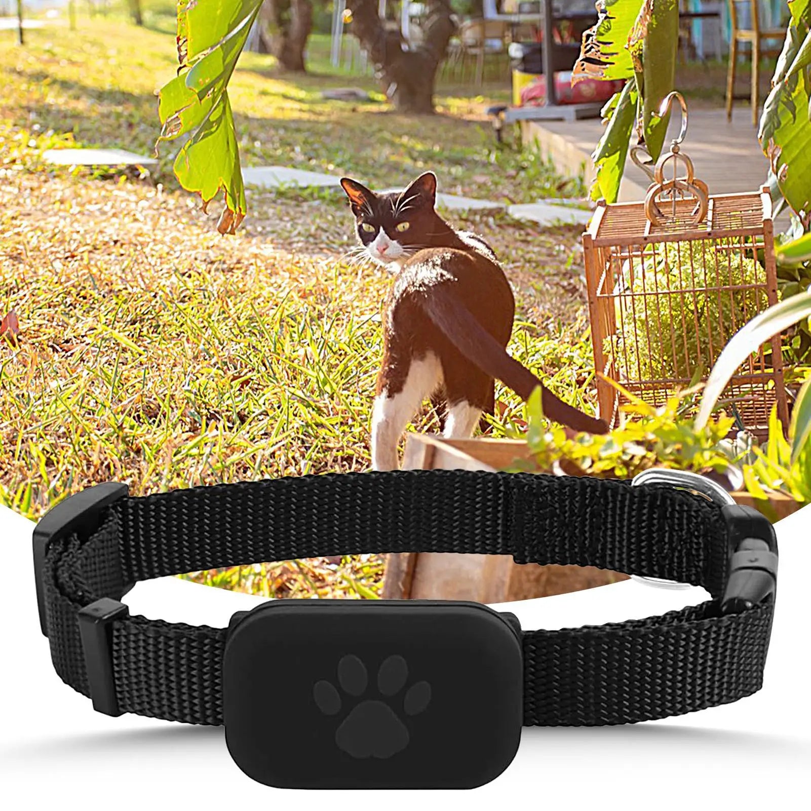 Cat Trackers Cat Tracker Collar Pet Kitten Collar Multifunctional Pet Smart Trackers Pets Accessories IOS Compatible