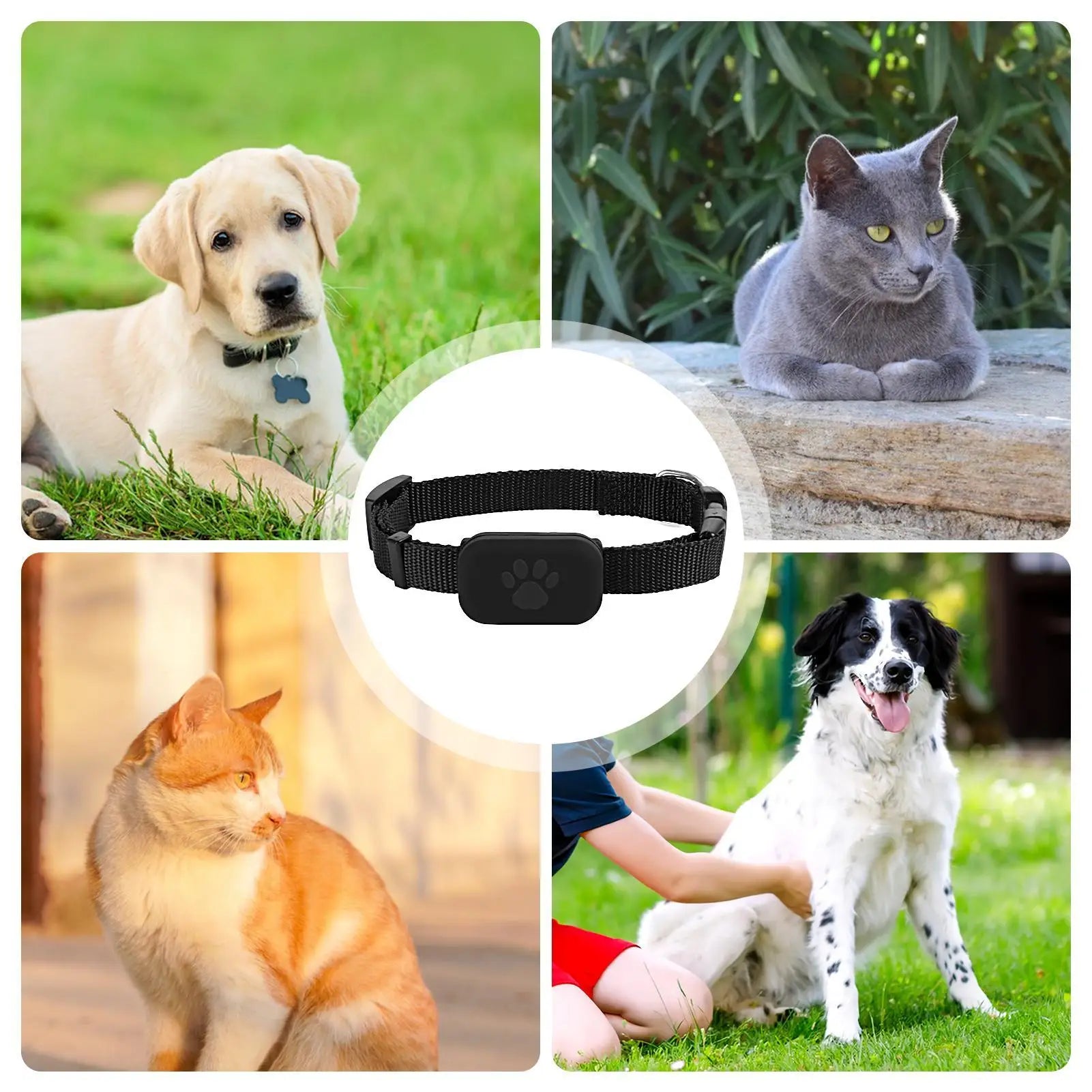 Cat Trackers Cat Tracker Collar Pet Kitten Collar Multifunctional Pet Smart Trackers Pets Accessories IOS Compatible