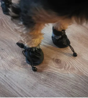 Waterproof Non-Slip Pet Rain Boots
