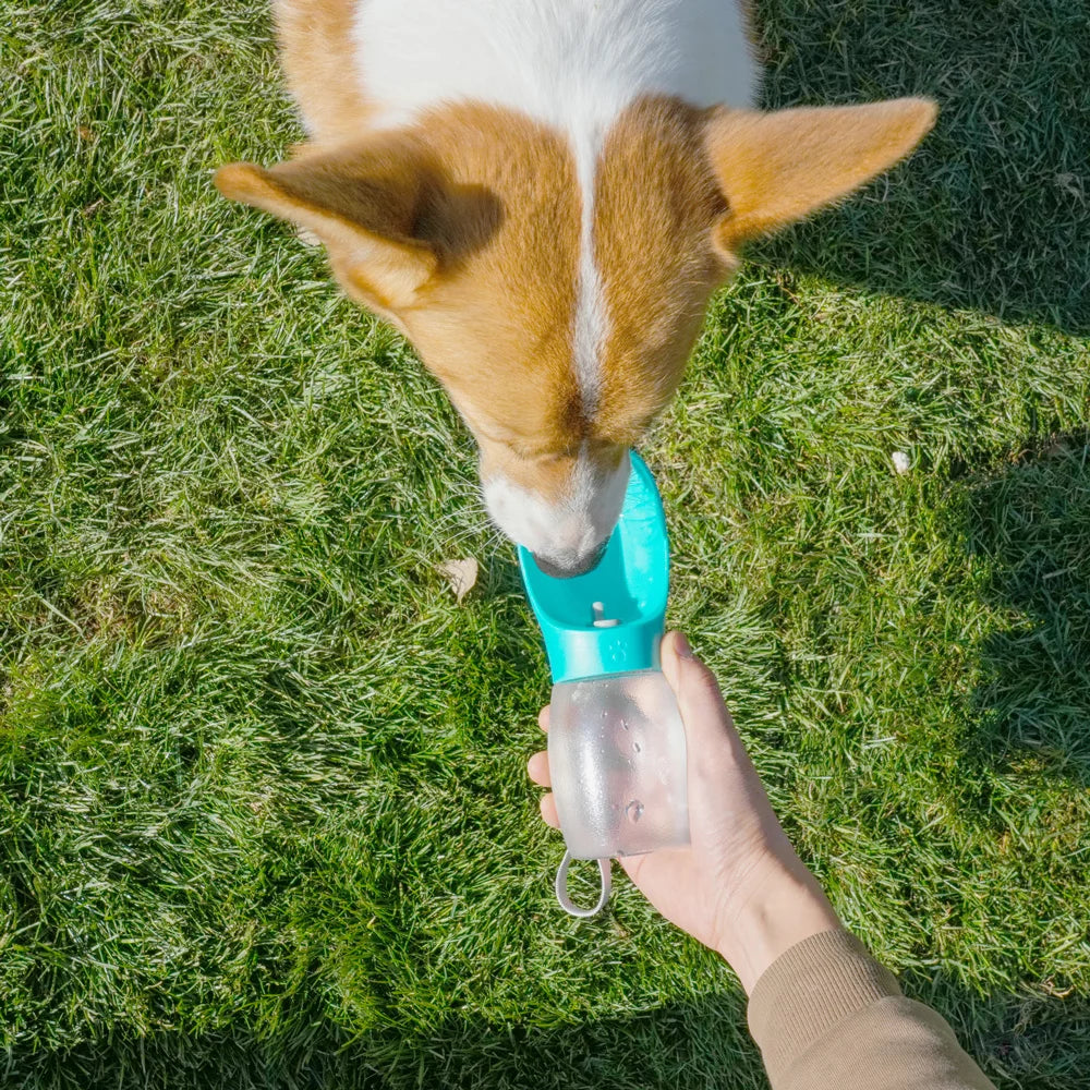 Portable 300ml Pet Travel Water Bottle